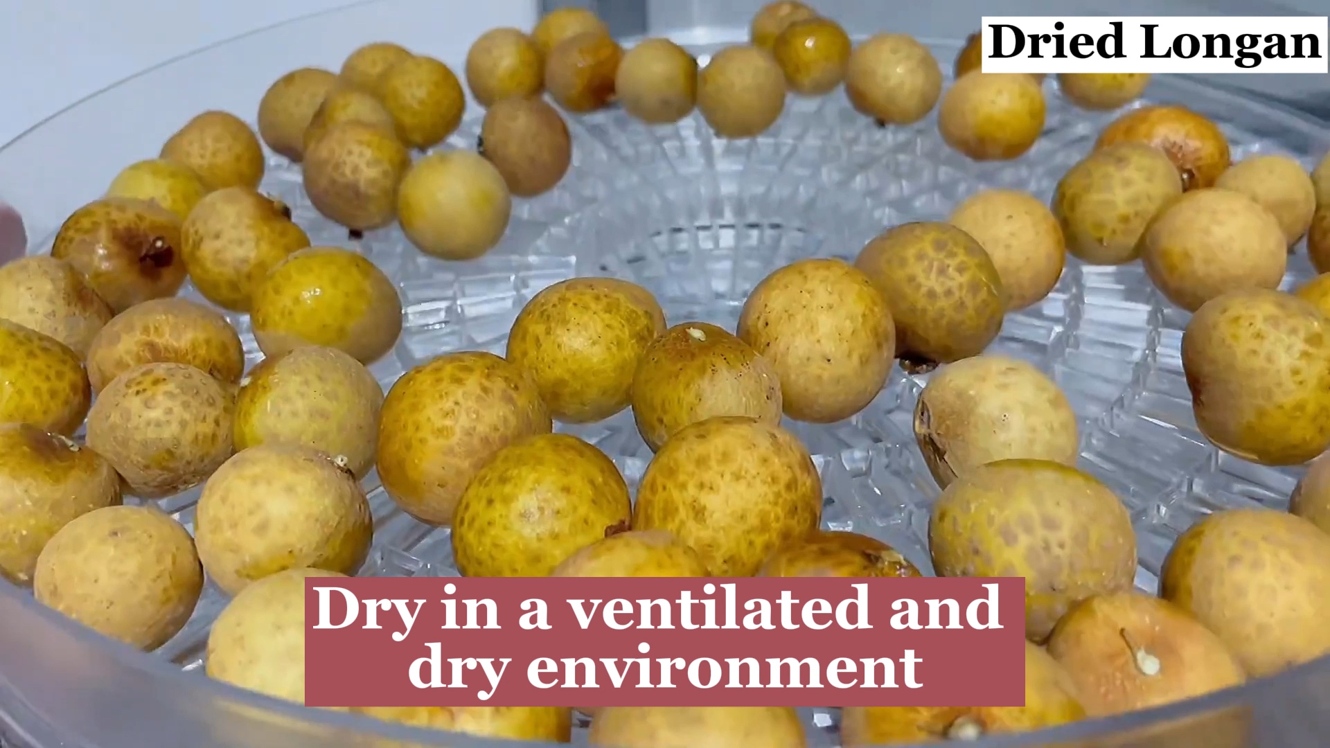 Dried Longan__Dragon Eyes Fruit Cook Chinese Foods