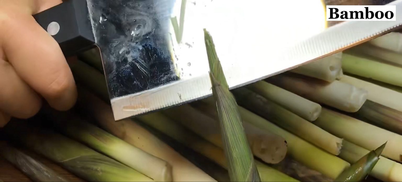 Bamboo shoots in can_Pickled bamboo shoots Cook Chinese Foods