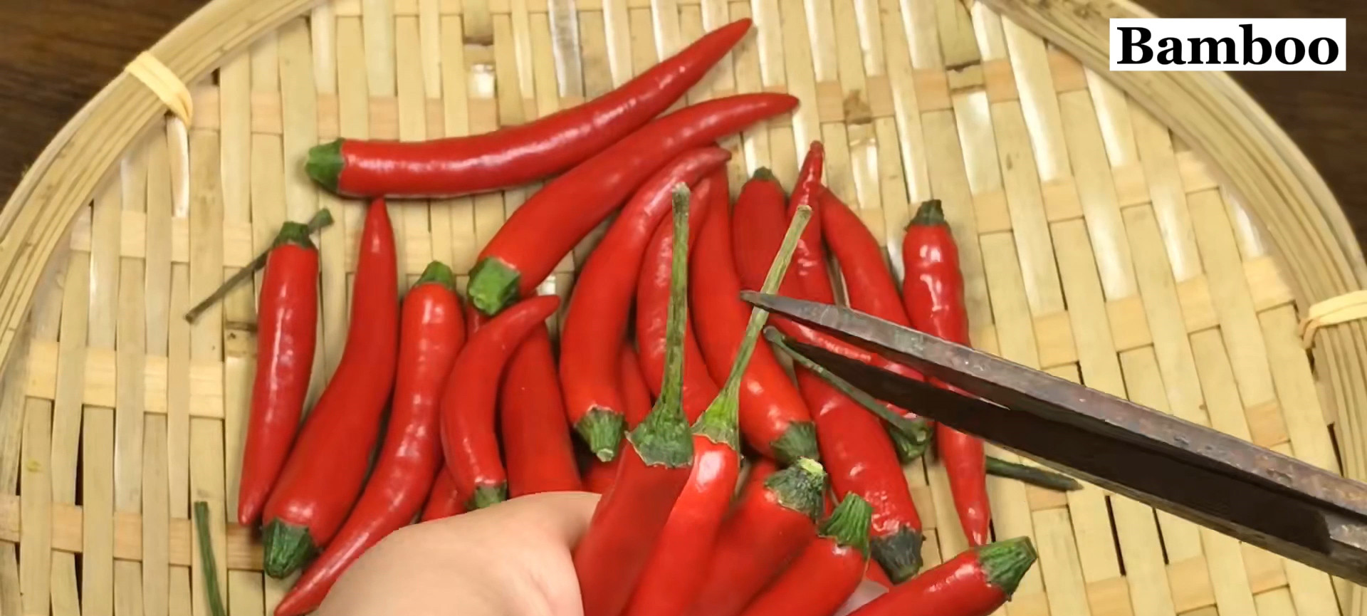 Bamboo shoots in can_Pickled bamboo shoots Cook Chinese Foods